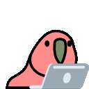 :laptopparrot: