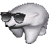 :polarbear_sunglasses: